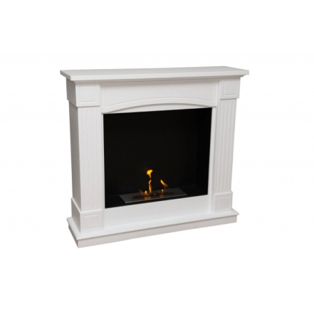 Биокамин FireBird Олимпия Биокамин FireBird Олимпия по цене 74 800 руб.