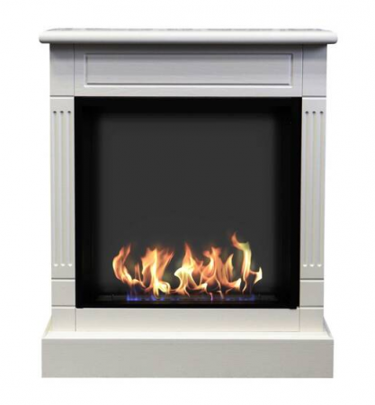 Биокамин ZeFire Клер по цене 59 000 руб.